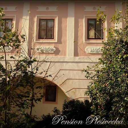 Pension Plesivecka 119 Чеський Крумлов Екстер'єр фото