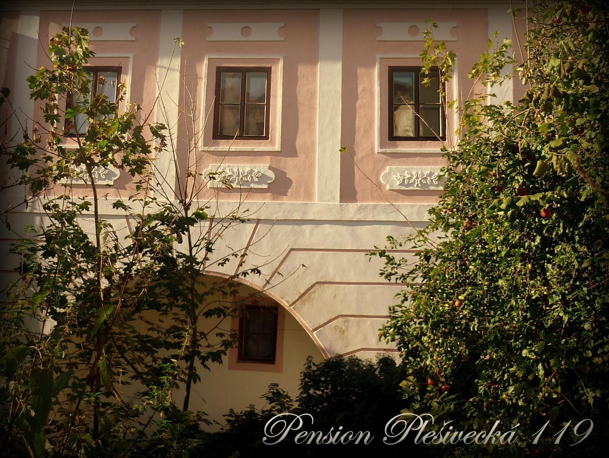 Pension Plesivecka 119 Чеський Крумлов Екстер'єр фото